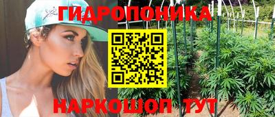 скорость Будённовск