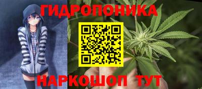 скорость Будённовск