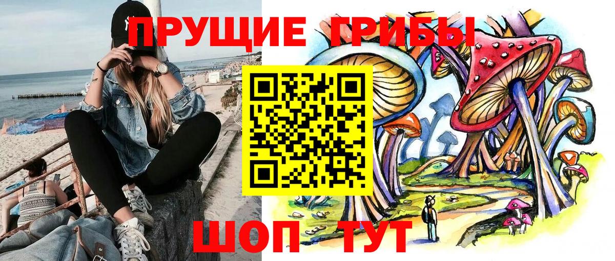 Мариинск  Галлюциногенные грибы прущие грибы  Вход с VPN 