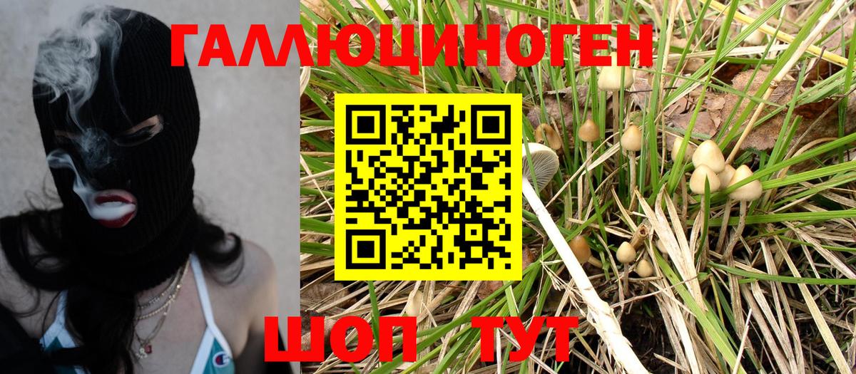 Галлюциногенные грибы MAGIC MUSHROOMS Мариинск